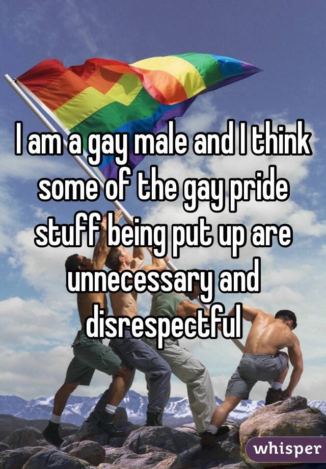 I am a gay male and I think some of the gay pride stuff being put up are  unnecessary and disrespectful  