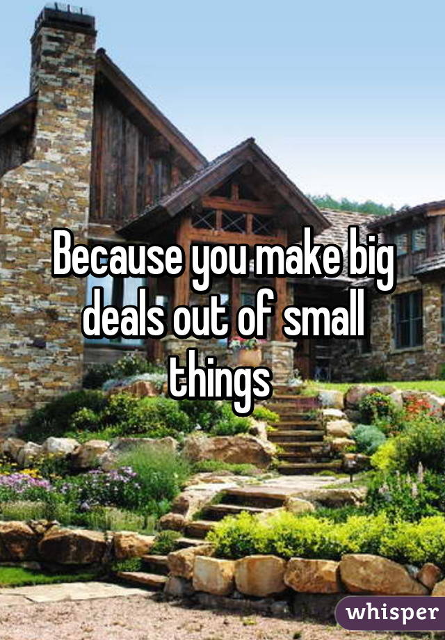 Because you make big deals out of small things 