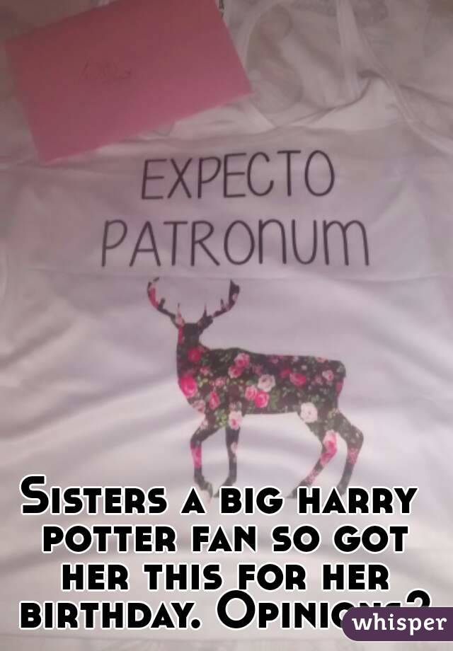 Sisters a big harry potter fan so got her this for her birthday. Opinions?