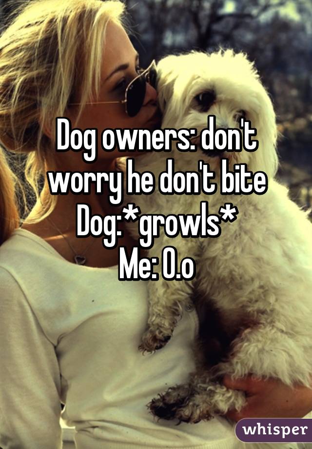 Dog owners: don't worry he don't bite
Dog:*growls*
Me: 0.o
