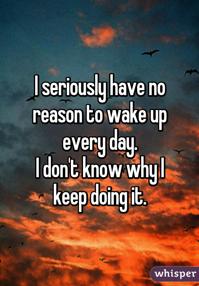 I seriously have no reason to wake up every day.
I don't know why I keep doing it.