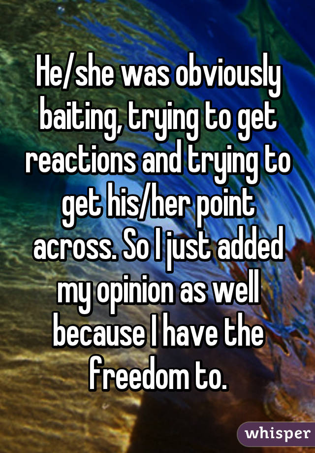 He/she was obviously baiting, trying to get reactions and trying to get his/her point across. So I just added my opinion as well because I have the freedom to.