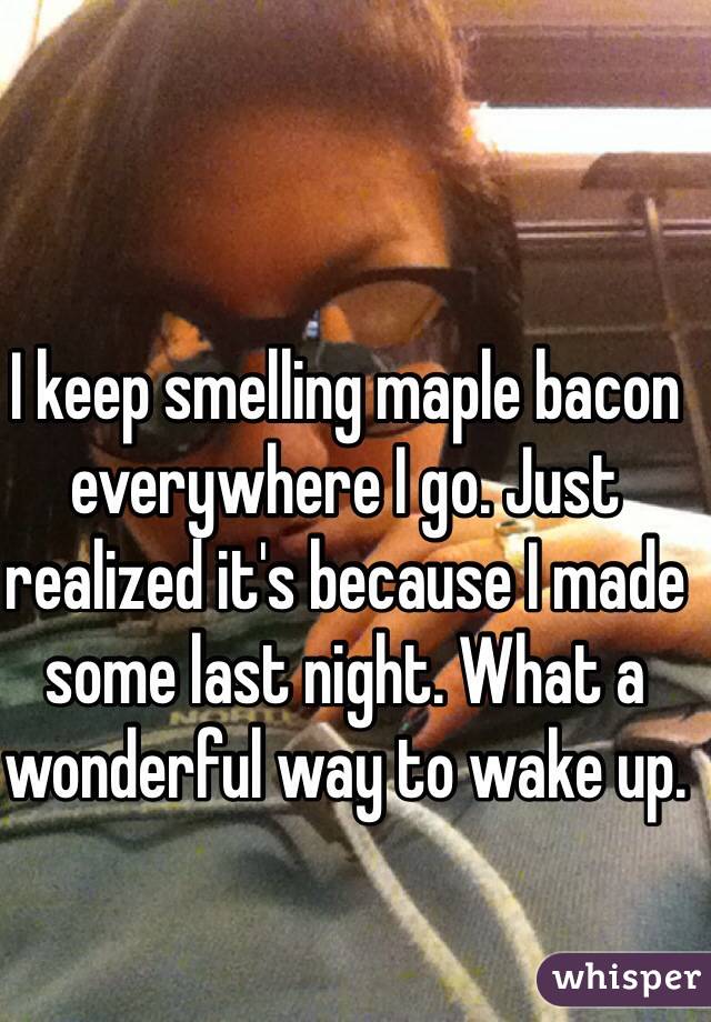 I keep smelling maple bacon everywhere I go. Just realized it's because I made some last night. What a wonderful way to wake up.