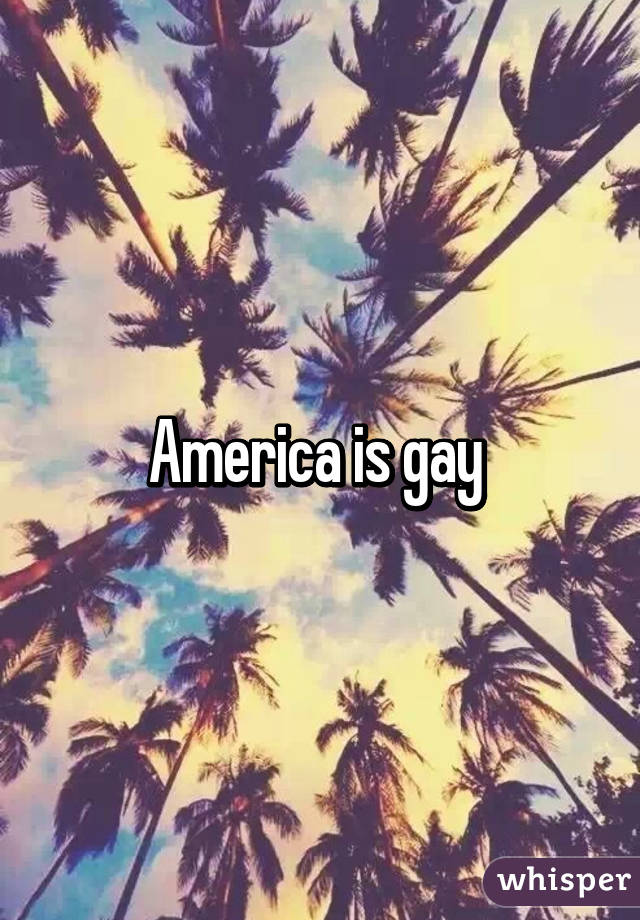 America is gay 