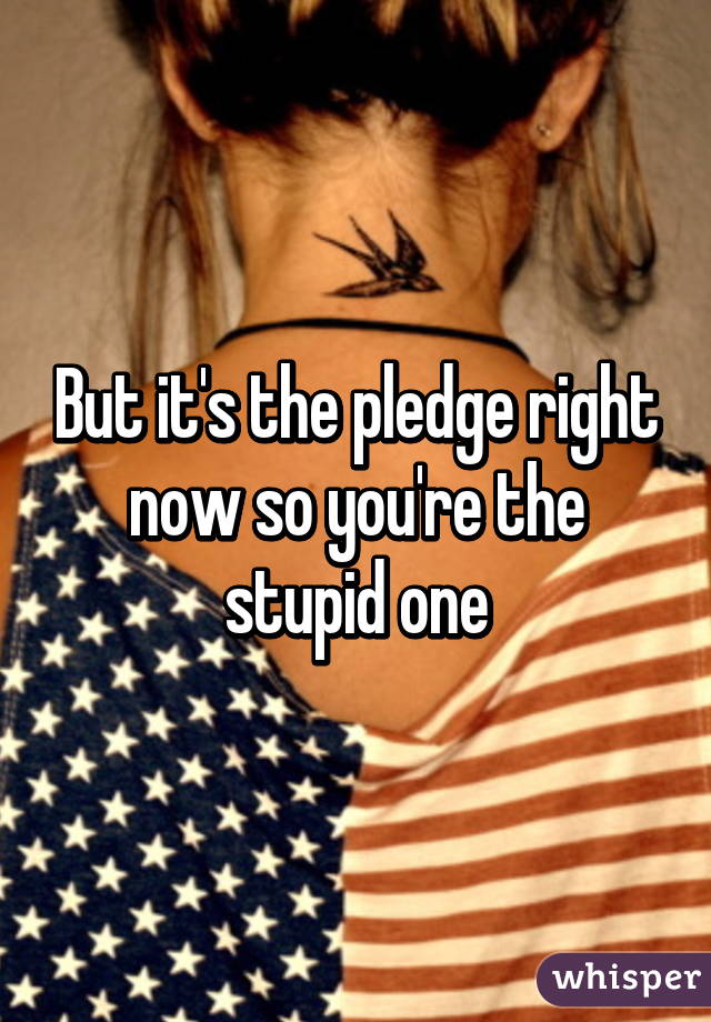 But it's the pledge right now so you're the stupid one