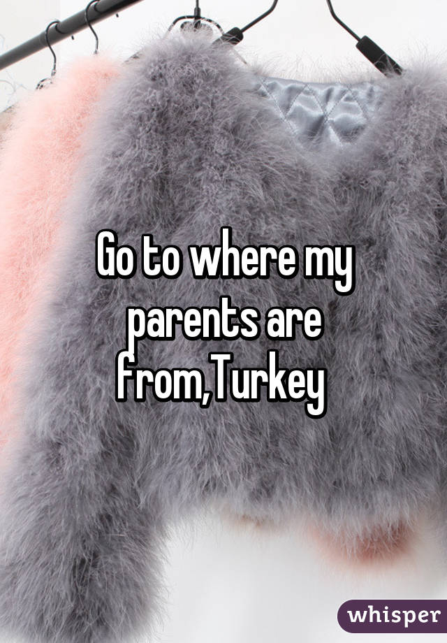 Go to where my parents are from,Turkey 