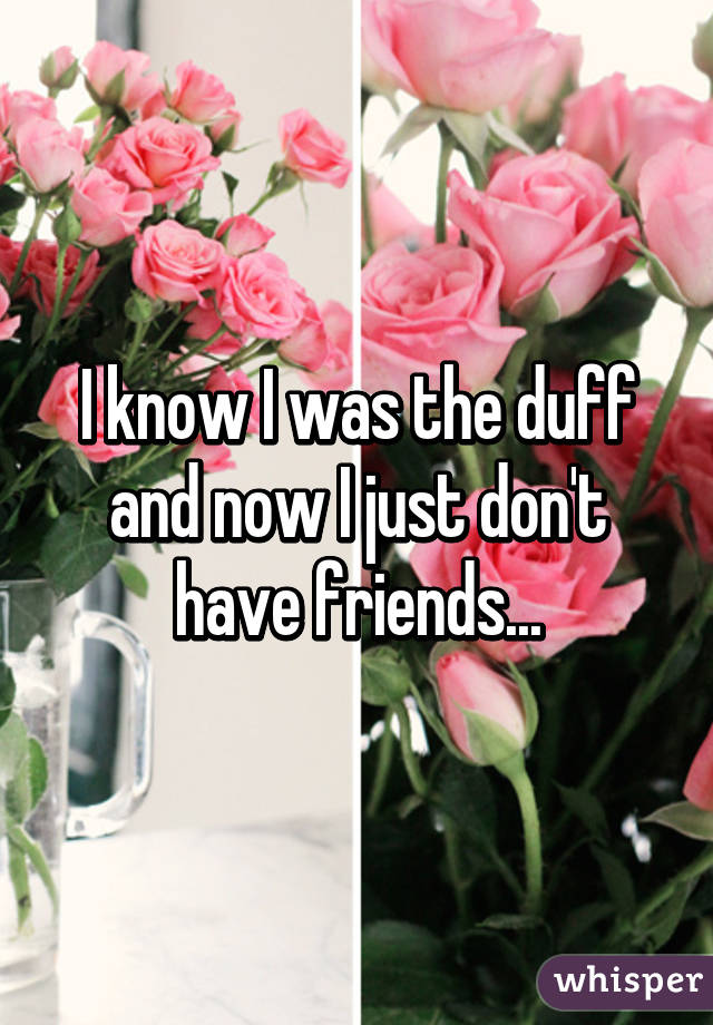 I know I was the duff and now I just don't have friends...