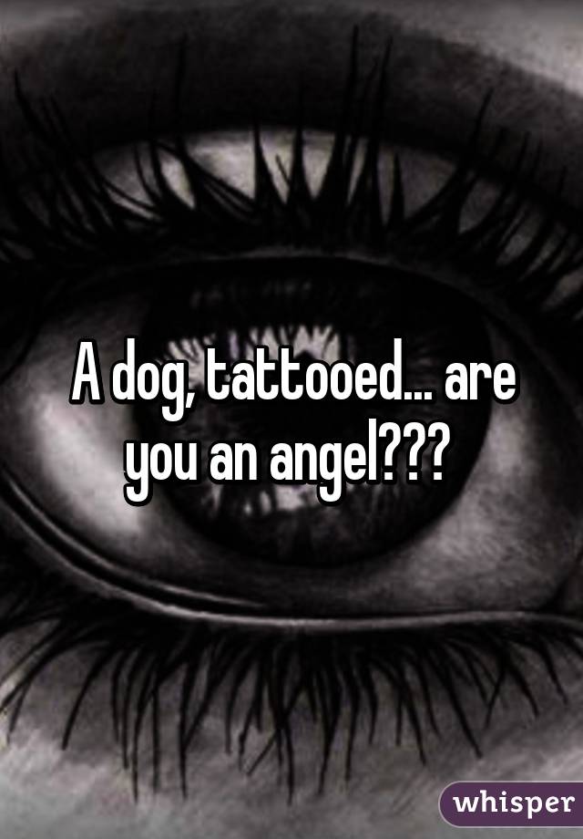 A dog, tattooed... are you an angel?😂😂 