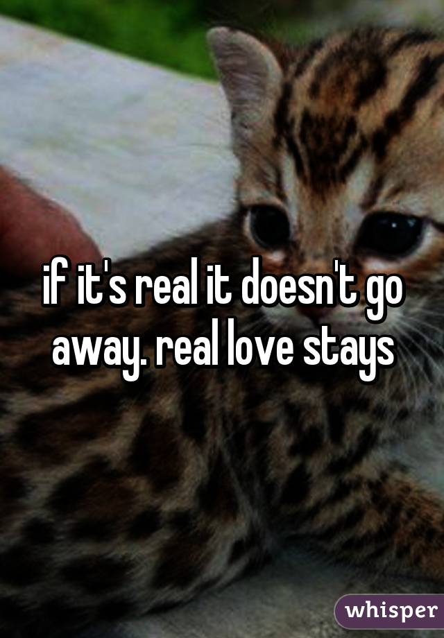 if it's real it doesn't go away. real love stays