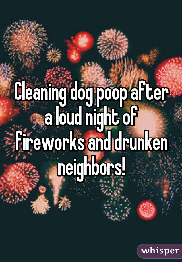 Cleaning dog poop after a loud night of fireworks and drunken neighbors!