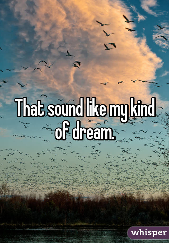 That sound like my kind of dream.