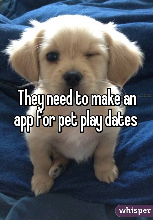 They need to make an app for pet play dates 