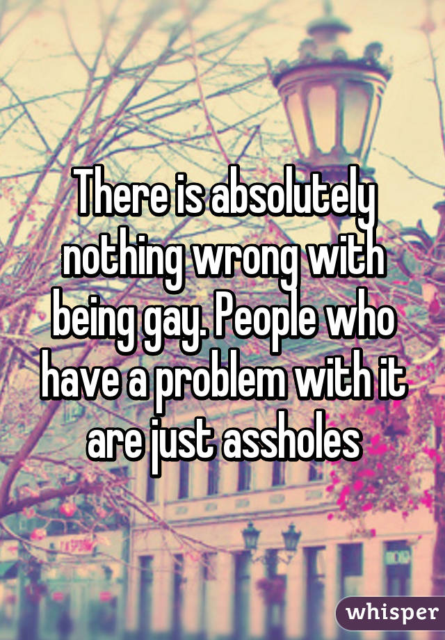 There is absolutely nothing wrong with being gay. People who have a problem with it are just assholes