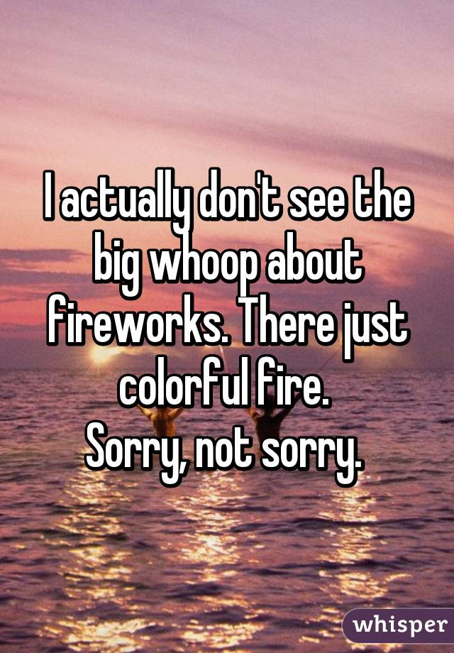 I actually don't see the big whoop about fireworks. There just colorful fire. 
Sorry, not sorry. 