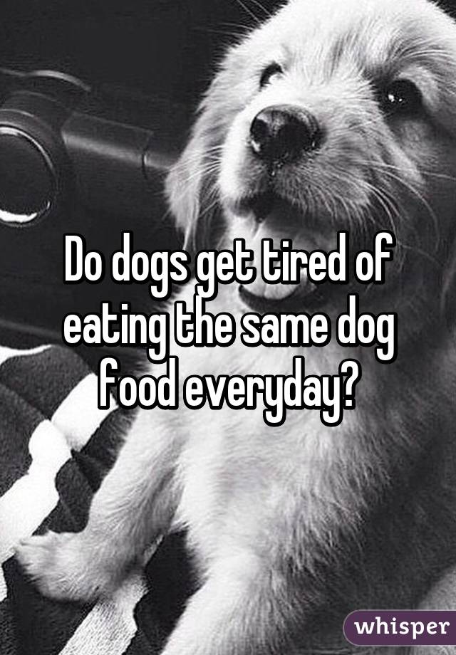 Do dogs get tired of eating the same dog food everyday?