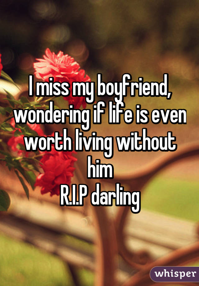 I miss my boyfriend, wondering if life is even worth living without him
R.I.P darling