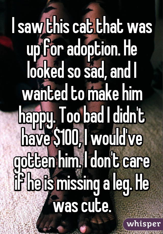 I saw this cat that was up for adoption. He looked so sad, and I wanted to make him happy. Too bad I didn't have $100, I would've gotten him. I don't care if he is missing a leg. He was cute.