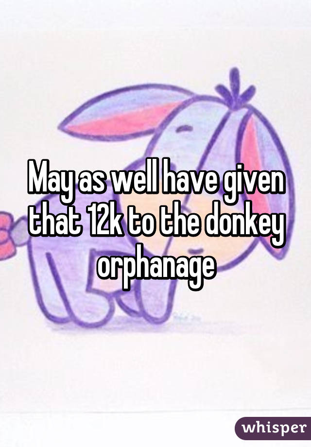 May as well have given that 12k to the donkey orphanage