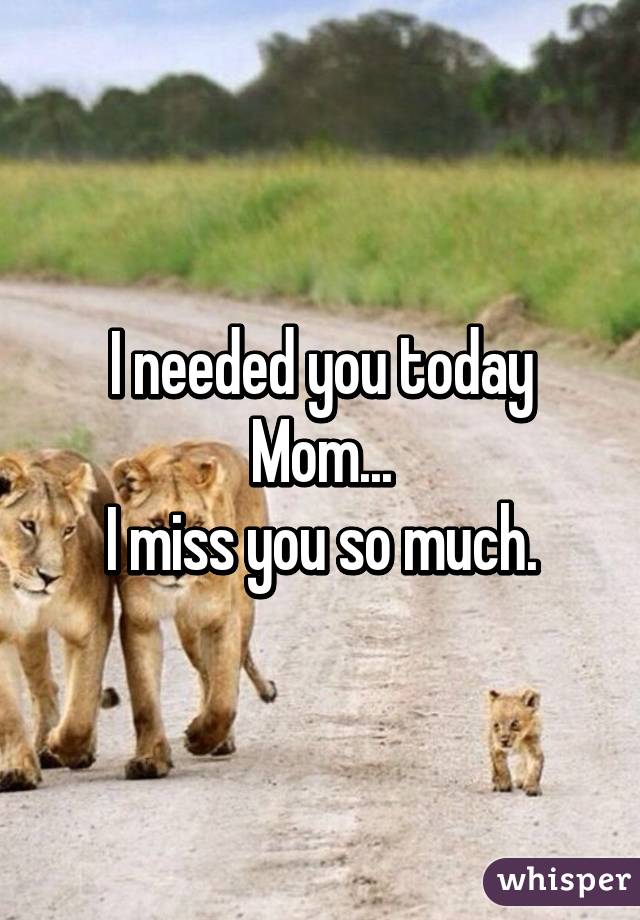I needed you today Mom...
I miss you so much.