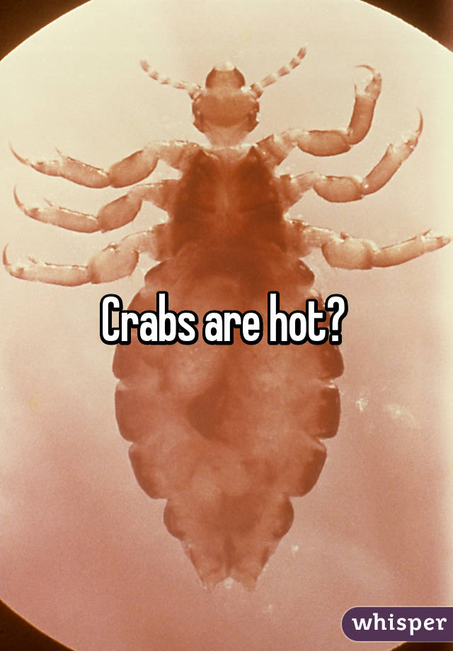 Crabs are hot? 