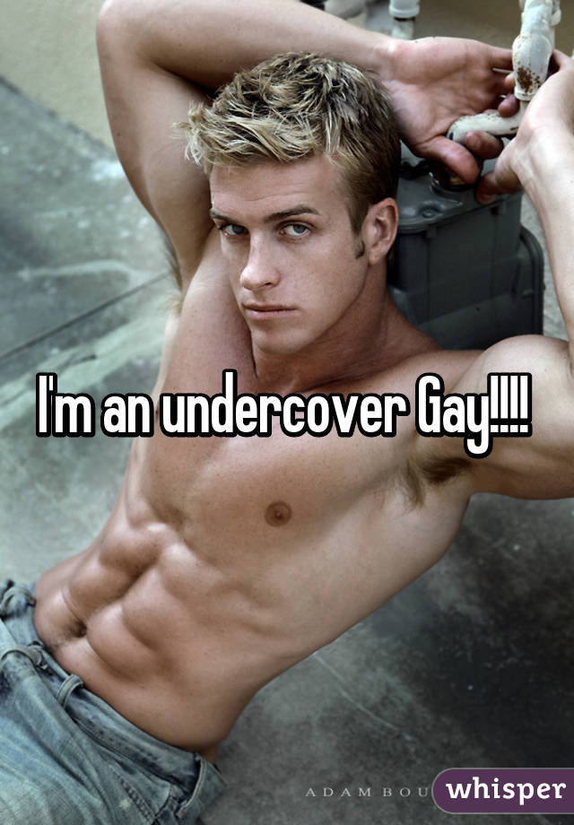 I'm an undercover Gay!!!! 