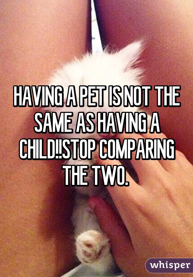 HAVING A PET IS NOT THE SAME AS HAVING A CHILD!!STOP COMPARING THE TWO. 
