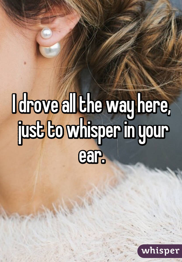 I drove all the way here,  just to whisper in your ear.