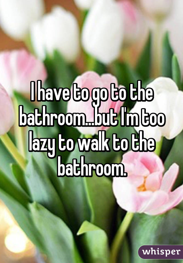 I have to go to the bathroom...but I'm too lazy to walk to the bathroom.