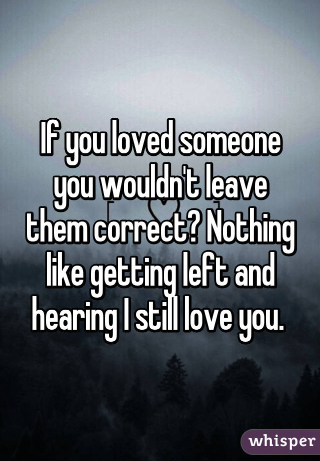 If you loved someone you wouldn't leave them correct? Nothing like getting left and hearing I still love you. 