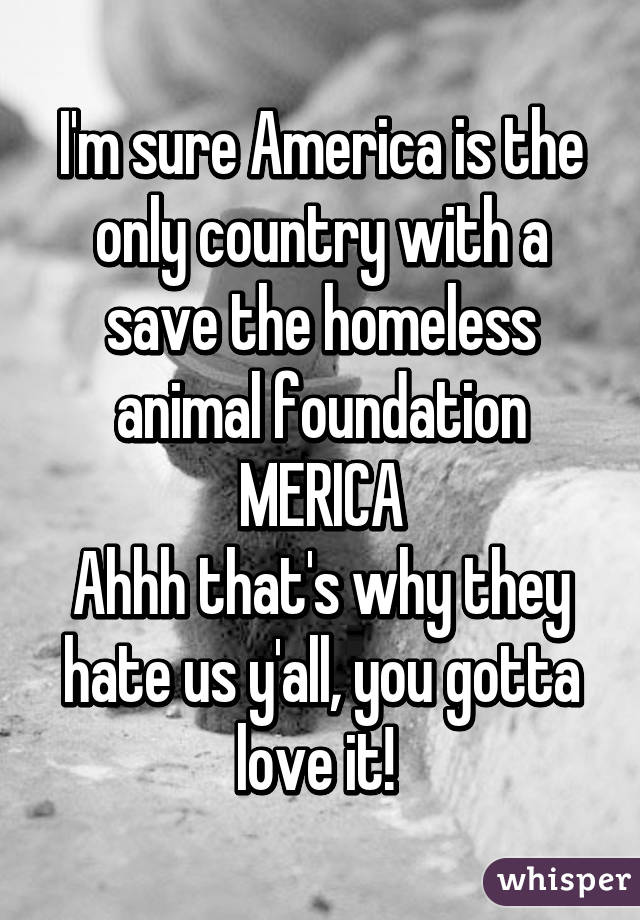 I'm sure America is the only country with a save the homeless animal foundation
MERICA
Ahhh that's why they hate us y'all, you gotta love it! 