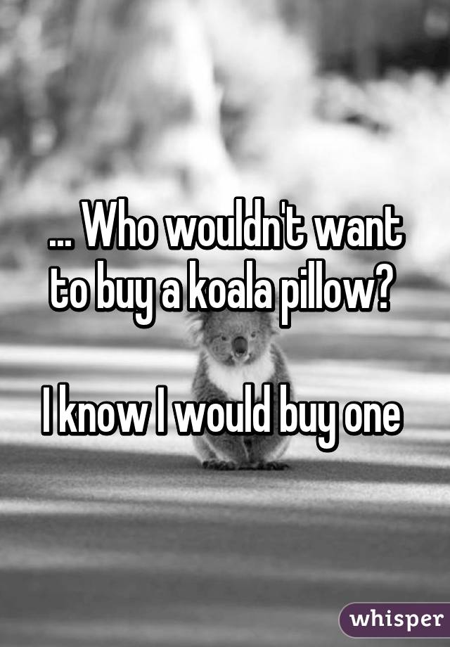 ... Who wouldn't want to buy a koala pillow? 

I know I would buy one 