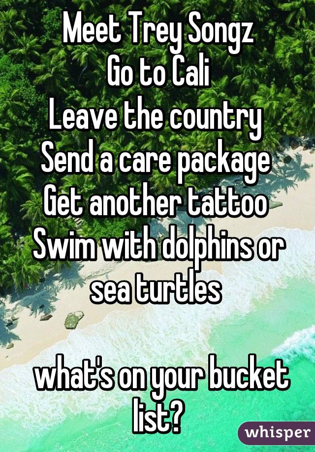 Meet Trey Songz
Go to Cali
Leave the country 
Send a care package 
Get another tattoo 
Swim with dolphins or sea turtles 

 what's on your bucket list?