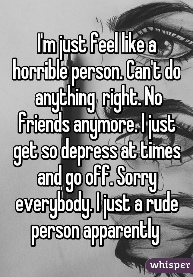 I'm just feel like a horrible person. Can't do  anything  right. No friends anymore. I just get so depress at times and go off. Sorry everybody. I just a rude person apparently 