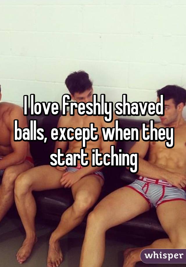 I love freshly shaved balls, except when they start itching