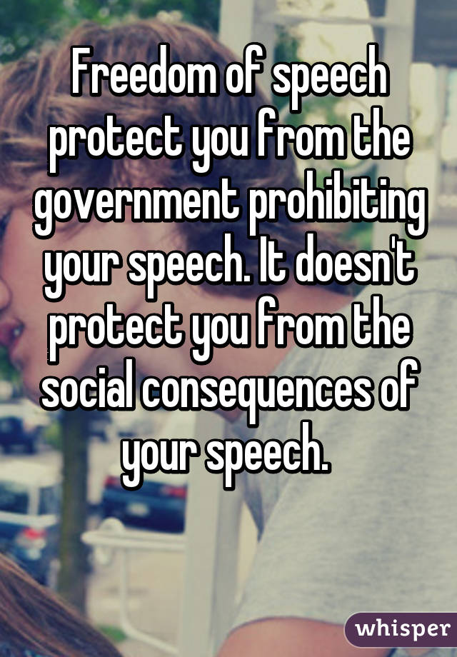 Freedom of speech protect you from the government prohibiting your speech. It doesn't protect you from the social consequences of your speech. 

