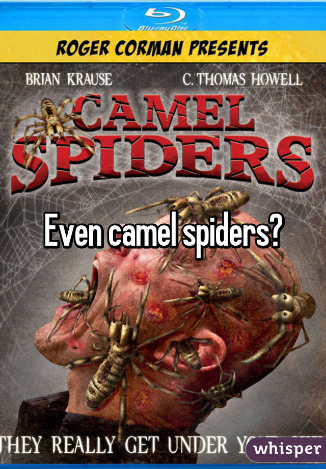 Even camel spiders?