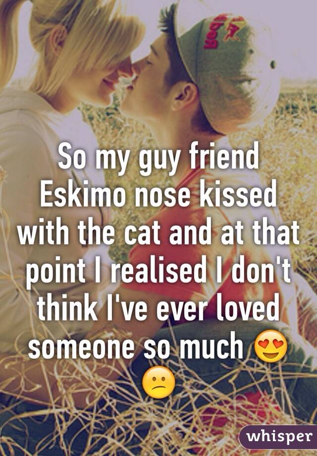 So my guy friend Eskimo nose kissed with the cat and at that point I realised I don't think I've ever loved someone so much 😍😕