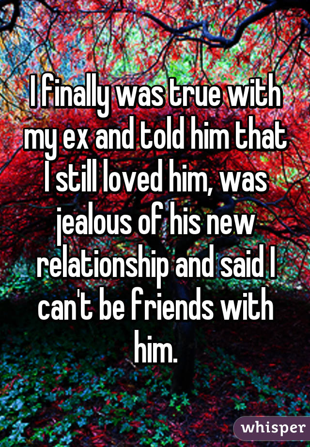 I finally was true with my ex and told him that I still loved him, was jealous of his new relationship and said I can't be friends with him.