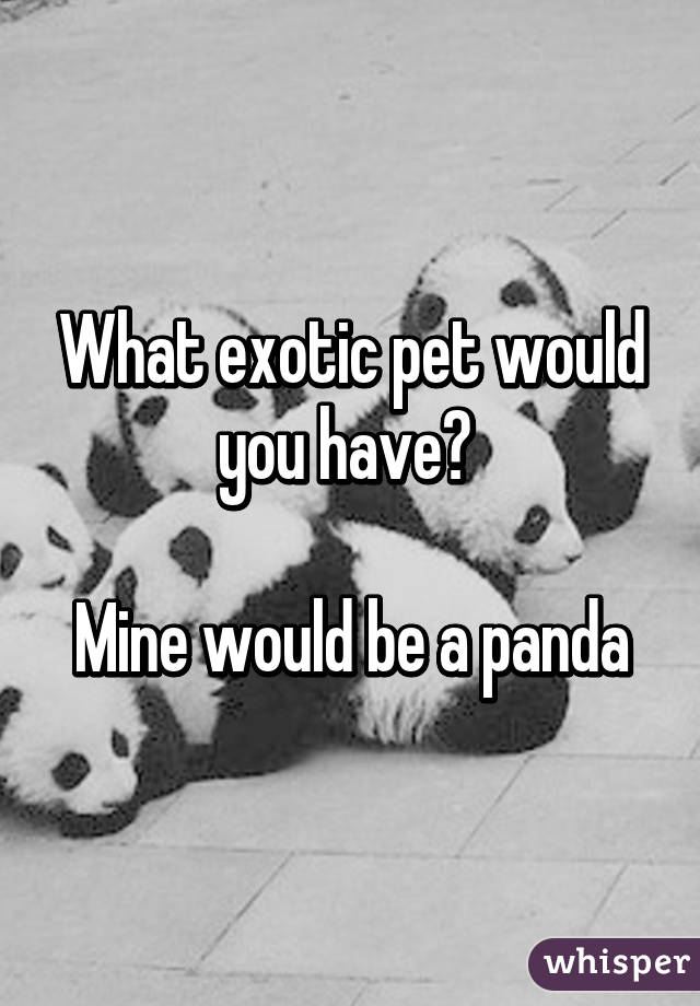 What exotic pet would you have? 

Mine would be a panda