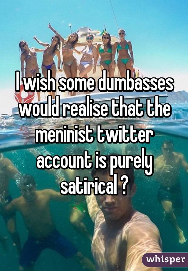 I wish some dumbasses would realise that the meninist twitter account is purely satirical 😂