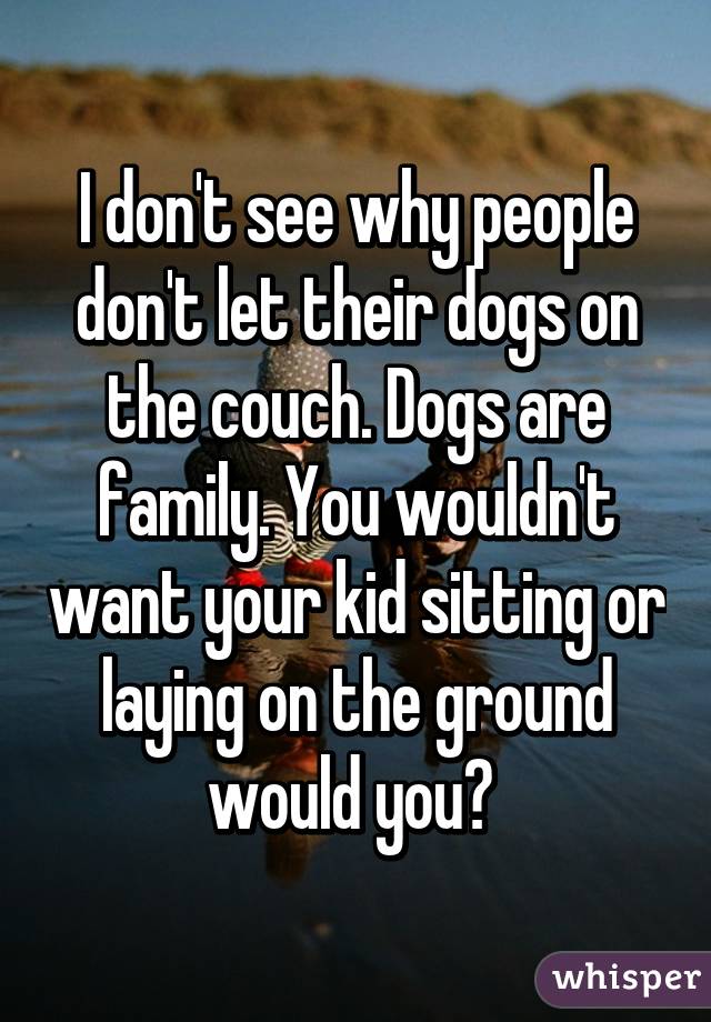 I don't see why people don't let their dogs on the couch. Dogs are family. You wouldn't want your kid sitting or laying on the ground would you? 