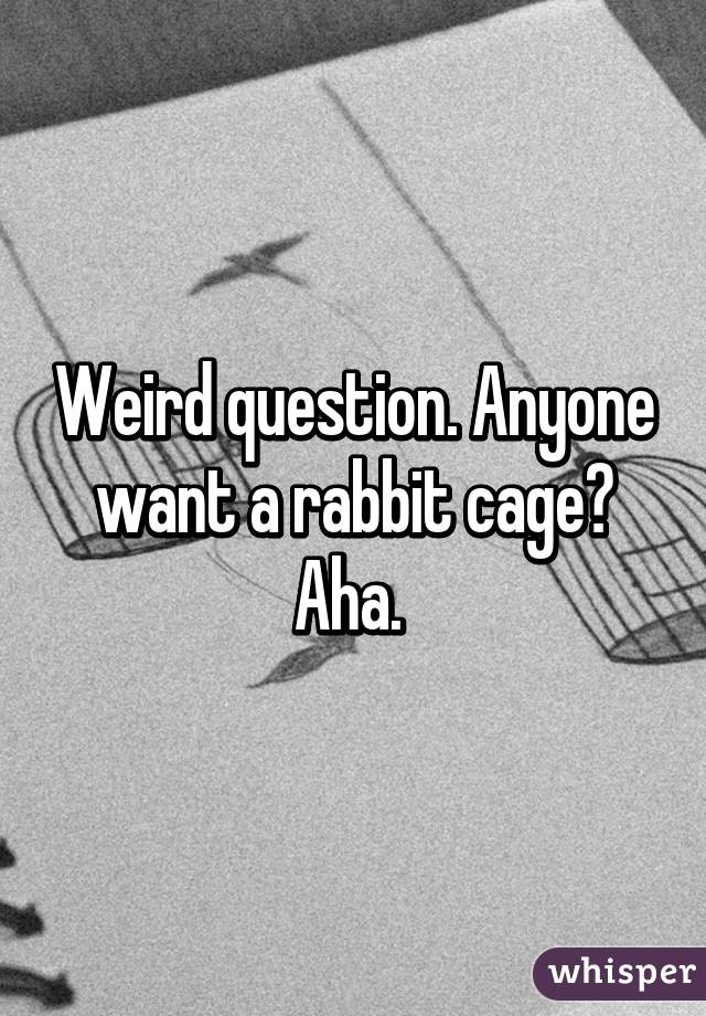 Weird question. Anyone want a rabbit cage? Aha. 