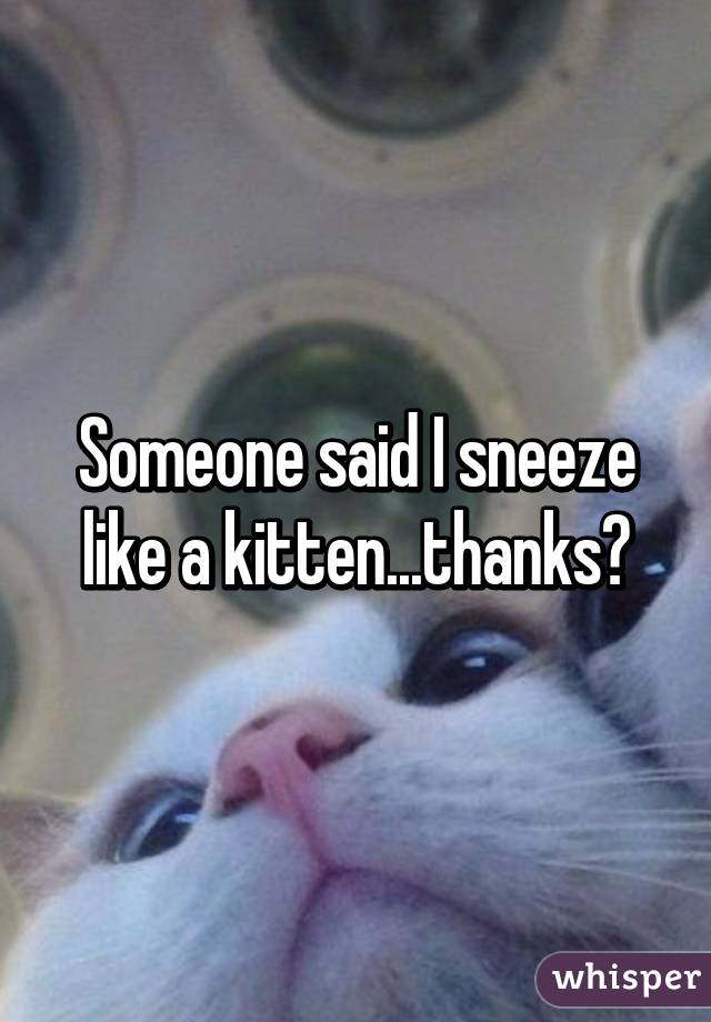 Someone said I sneeze like a kitten...thanks?