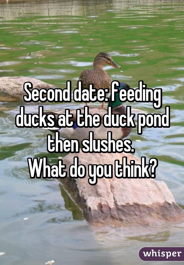 Second date: feeding ducks at the duck pond then slushes. 
What do you think?