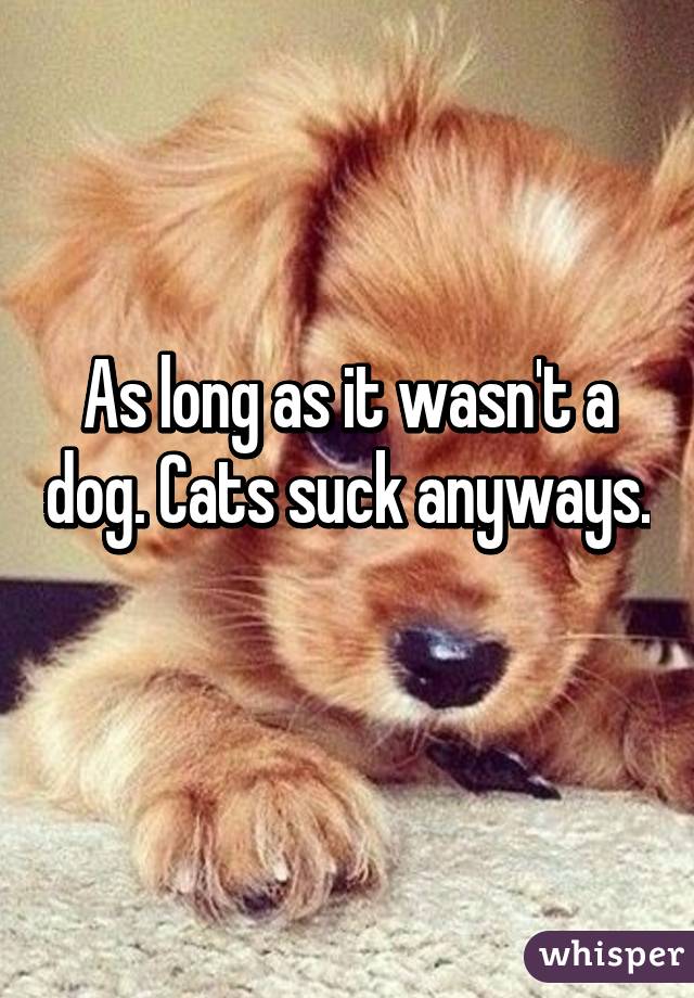 As long as it wasn't a dog. Cats suck anyways. 