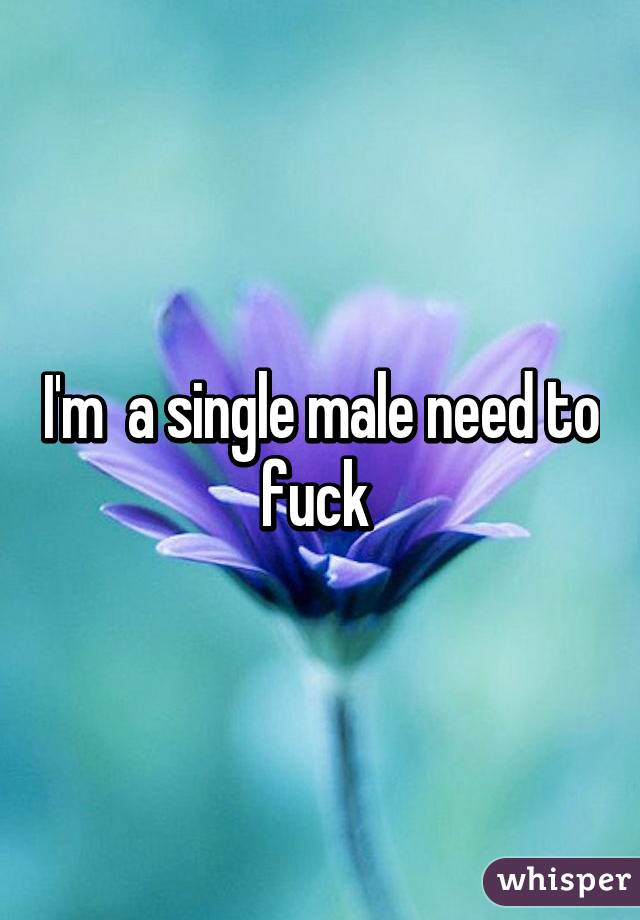 I'm  a single male need to fuck 