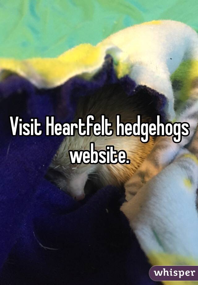 Visit Heartfelt hedgehogs website. 