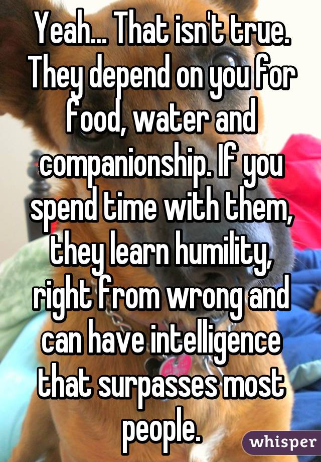 Yeah... That isn't true. They depend on you for food, water and companionship. If you spend time with them, they learn humility, right from wrong and can have intelligence that surpasses most people.
