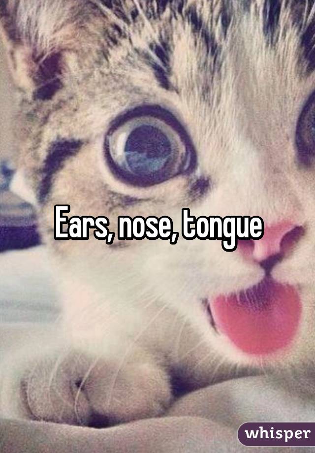 Ears, nose, tongue