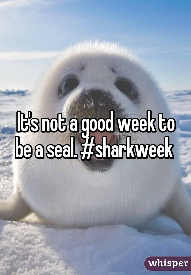 It's not a good week to be a seal. #sharkweek 